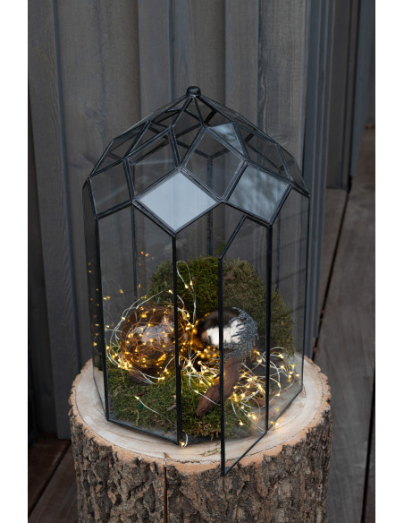 Terrarium pour plante en verre et métal noir 25 cm - 2