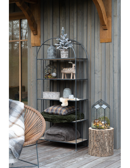 Terrarium pour plante en verre et métal noir 25 cm - 5