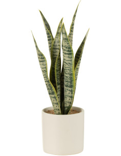 Plante artificielle Sansevieria Hauteur 30 cm en Plastique Vert Avec pot - 1