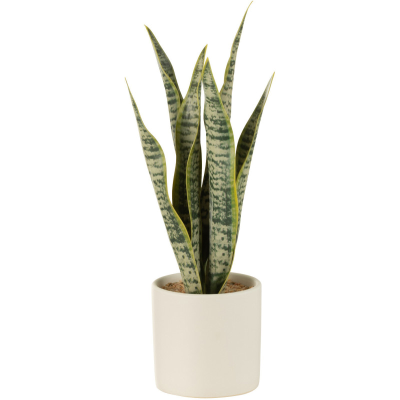 Plante artificielle Sansevieria Hauteur 30 cm en Plastique Vert Avec pot - 1