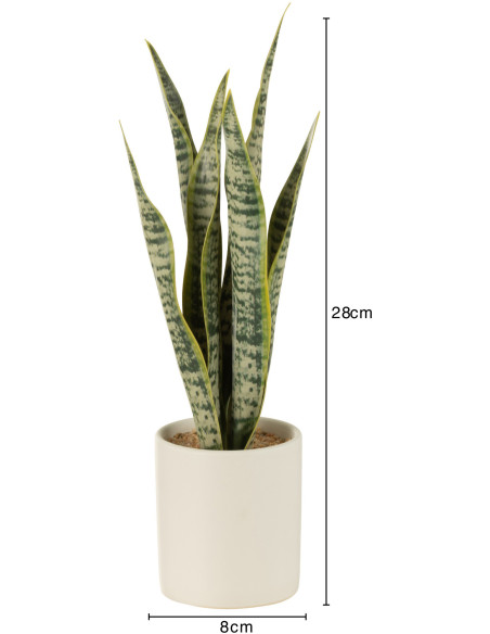Plante artificielle Sansevieria Hauteur 30 cm en Plastique Vert Avec pot - 3