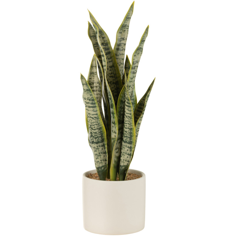 Plante artificielle Sansevieria Hauteur 35 cm en Plastique Vert Avec pot - 1