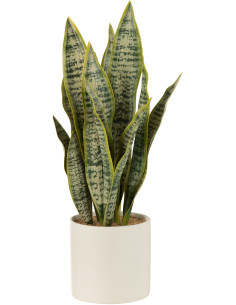 Plante artificielle Sansevieria Hauteur 50 cm en Plastique Vert Avec pot - 1
