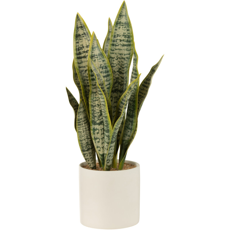 Plante artificielle Sansevieria Hauteur 50 cm en Plastique Vert Avec pot - 1
