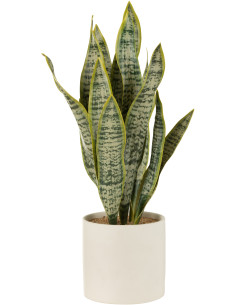 Plante artificielle Sansevieria Hauteur 60 cm en Plastique Vert Avec pot - 1