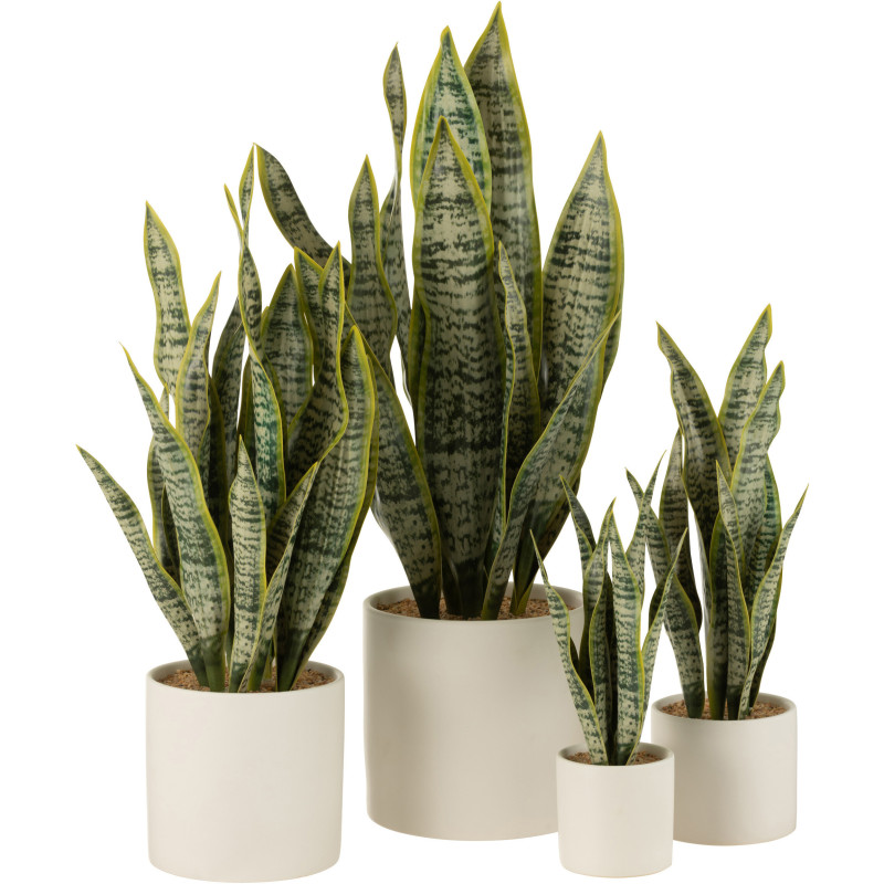 Plante artificielle Sansevieria Hauteur 60 cm en Plastique Vert Avec pot - 3