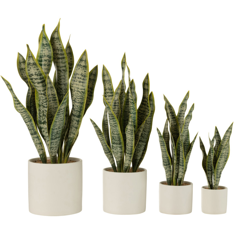 Plante artificielle Sansevieria Hauteur 60 cm en Plastique Vert Avec pot - 4