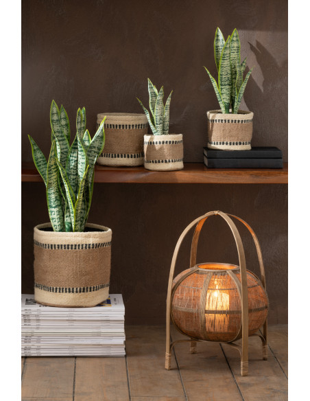 Plante artificielle Sansevieria Hauteur 60 cm en Plastique Vert Avec pot - 6