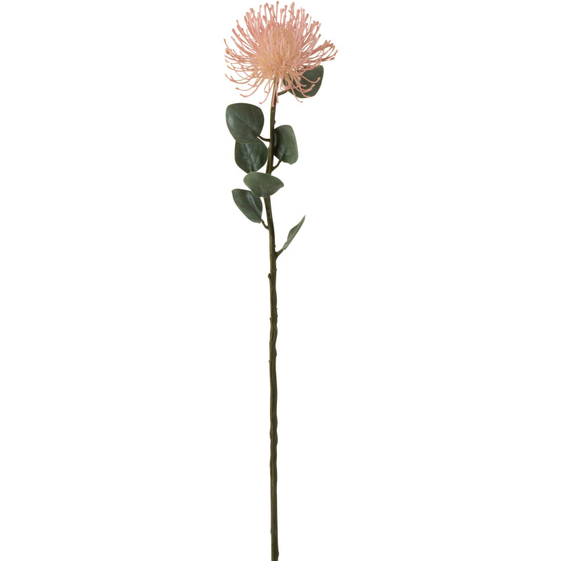 Fleur artificielle XL réaliste Protea Hauteur 72 cm en Plastique Rose Vert - 1