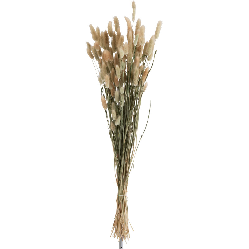 Bouquet Plante artificielle XL Queue de lièvre Hauteur 84 cm en Herbes séchées Naturel - 1