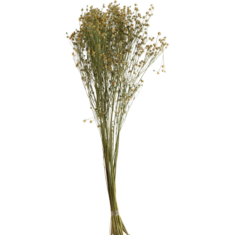 Bouquet XL Fleurs de lin Hauteur 70 cm en Fleurs séchées Jaune - 1