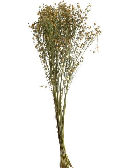 Bouquet XL Fleurs de lin Hauteur 70 cm en Fleurs séchées Jaune - 1