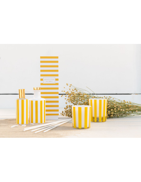 Bouquet XL Fleurs de lin Hauteur 70 cm en Fleurs séchées Jaune - 2