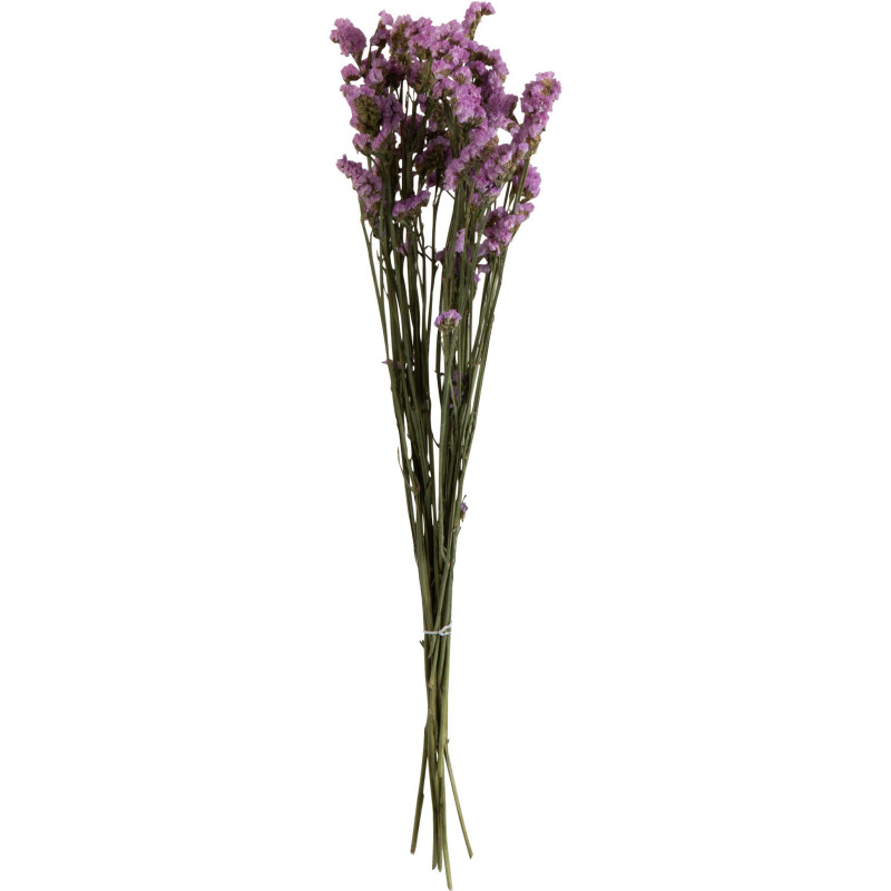 Bouquet XL Myosotis Hauteur 73 cm en Fleurs séchées Mauve - 1