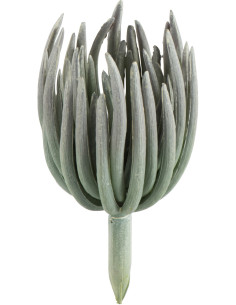 Plante artificielle Succulente réaliste Echeveria Hauteur 18 cm en Plastique Vert Effet givré - 1