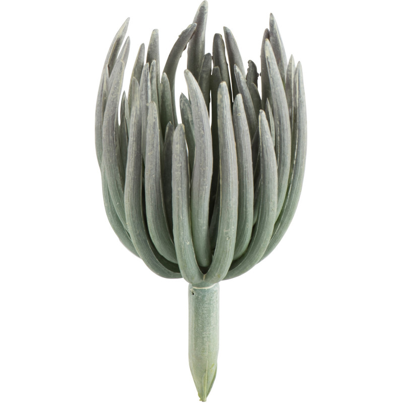 Plante artificielle Succulente réaliste Echeveria Hauteur 18 cm en Plastique Vert Effet givré - 1