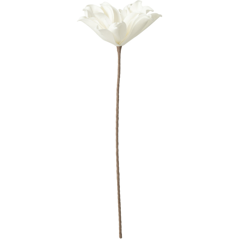Fleur artificielle XL réaliste Hauteur 75 cm en Mousse Eva Blanc Plastique Marron - 1