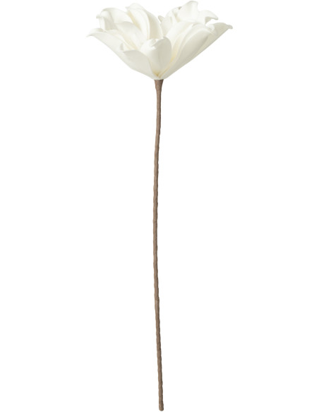 Fleur artificielle XL réaliste Hauteur 75 cm en Mousse Eva Blanc Plastique Marron - 1