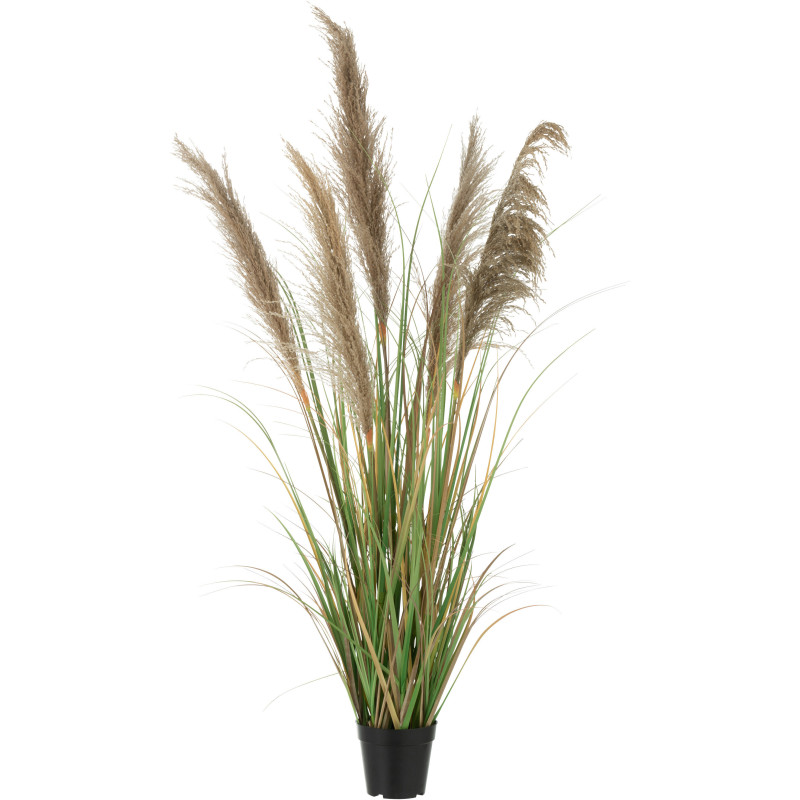 Plante artificielle Herbes et Pampas XL en pot Hauteur 140 cm en Plastique Vert Beige Monios - 1