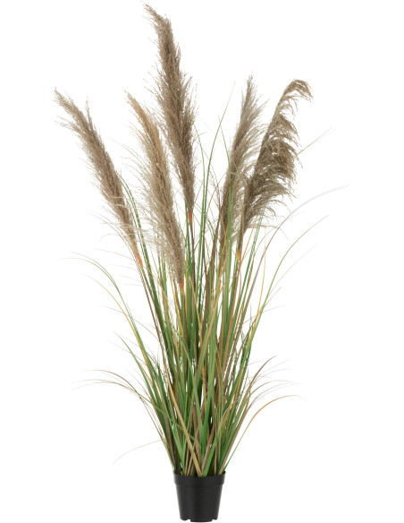 Plante artificielle Herbes et Pampas XL en pot Hauteur 140 cm en Plastique Vert Beige Monios - 1
