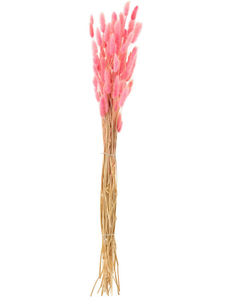 Bouquet XL réaliste Queue de lièvre Hauteur 77 cm en Fleurs séchées Rose J-Line - 1