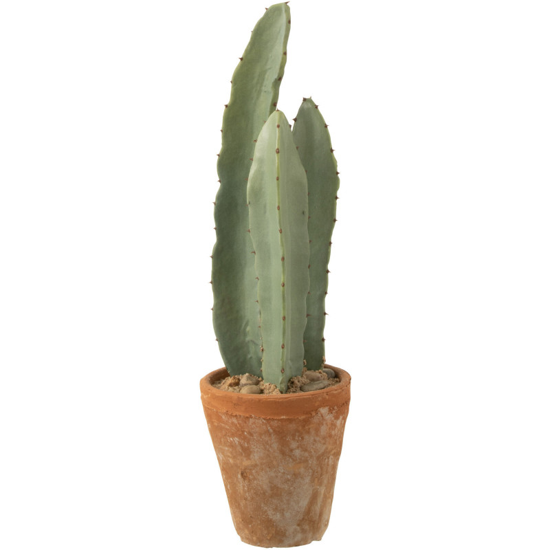 Cactus artificiel réaliste Hauteur 47 cm en Plastique Vert - 1