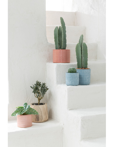 Cactus artificiel réaliste Hauteur 47 cm en Plastique Vert - 3