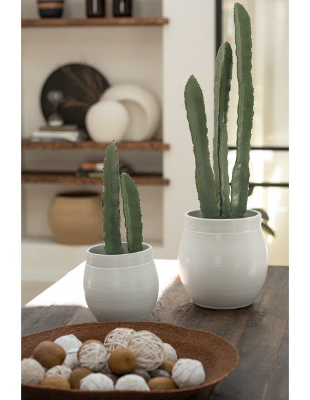 Cactus artificiel XXL réaliste Hauteur 80 cm en Plastique Vert - 2