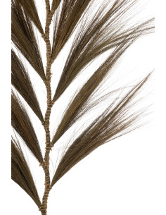 Branche décorative XXL Hauteur 232 cm en Herbes séchées Marron - 2