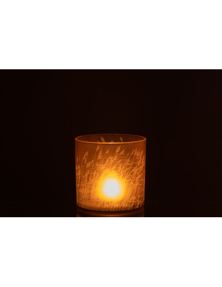 Photophore moderne XL Diamètre 15 cm en Verre Beige Motif herbes Faron - 4