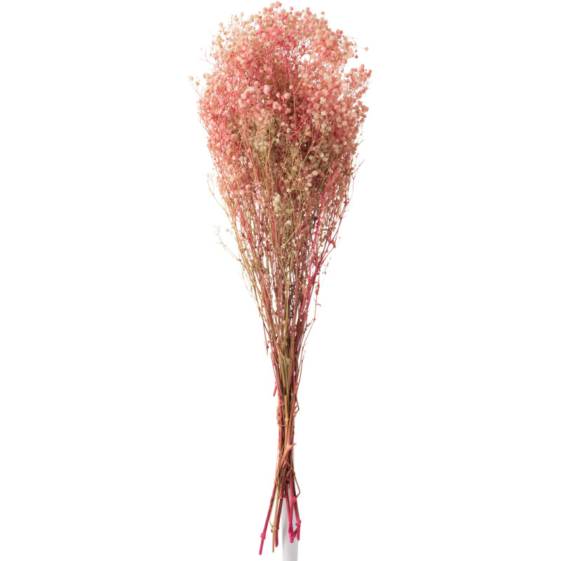 Bouquet XXL Gypsophile Hauteur 84 cm en Fleurs séchées Rose - 1