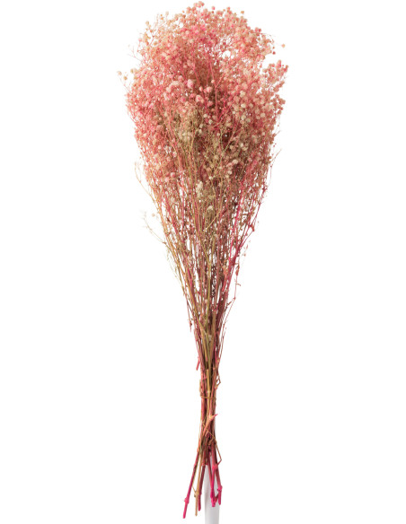 Bouquet XXL Gypsophile Hauteur 84 cm en Fleurs séchées Rose - 1