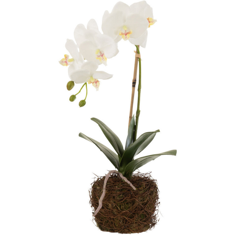 Fleur artificielle Orchidée Hauteur 40 cm en Plastique Blanc Vert Iveria - 1