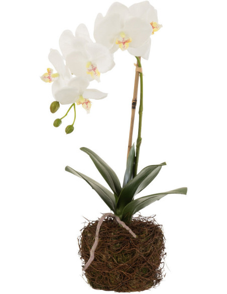 Fleur artificielle Orchidée Hauteur 40 cm en Plastique Blanc Vert Iveria - 1