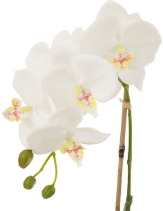 Fleur artificielle Orchidée Hauteur 40 cm en Plastique Blanc Vert Iveria - 1 2
