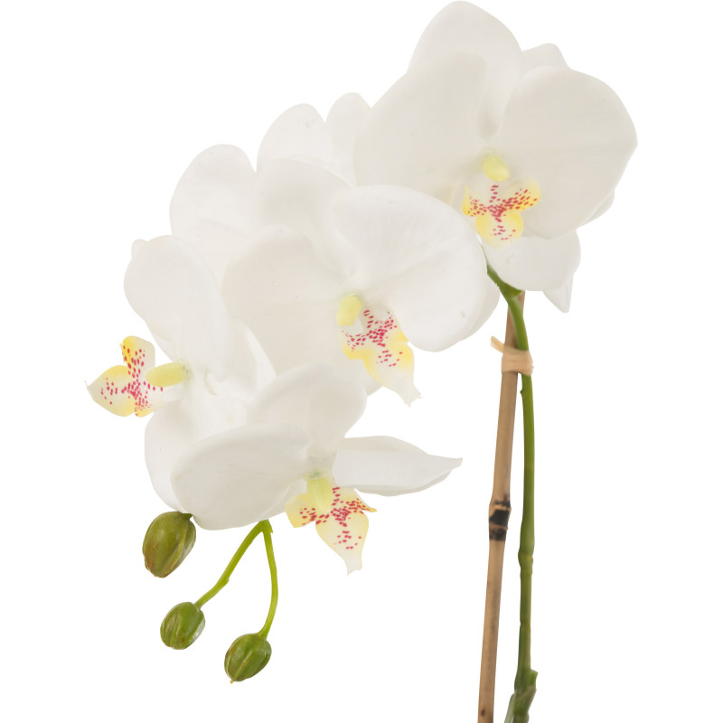 Fleur artificielle Orchidée Hauteur 40 cm en Plastique Blanc Vert Iveria - 2