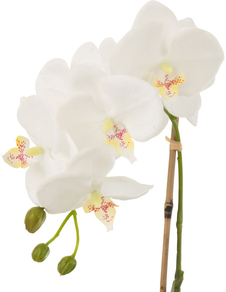 Fleur artificielle Orchidée Hauteur 40 cm en Plastique Blanc Vert Iveria - 2