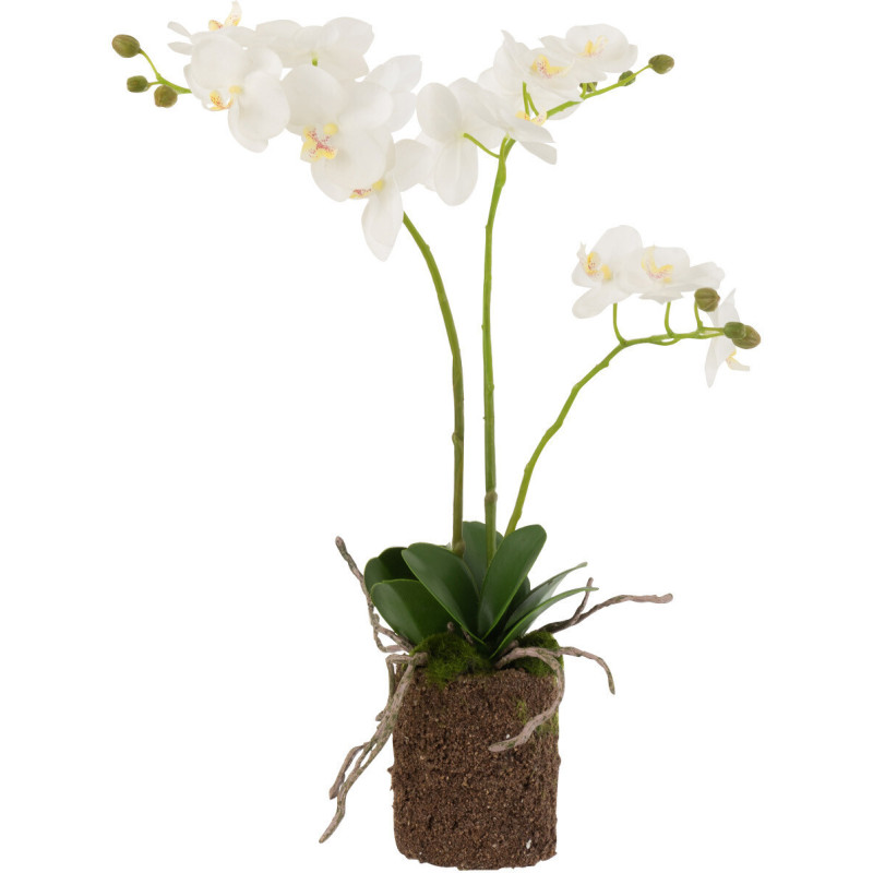 Fleur artificielle Orchidée Hauteur 52 cm en Plastique Blanc Vert Iveria - 1