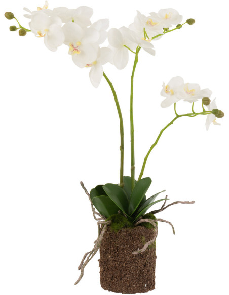 Fleur artificielle Orchidée Hauteur 52 cm en Plastique Blanc Vert Iveria - 1