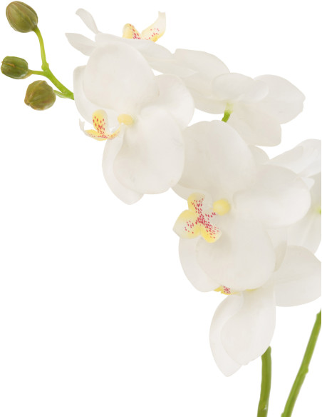 Fleur artificielle Orchidée Hauteur 52 cm en Plastique Blanc Vert Iveria - 2