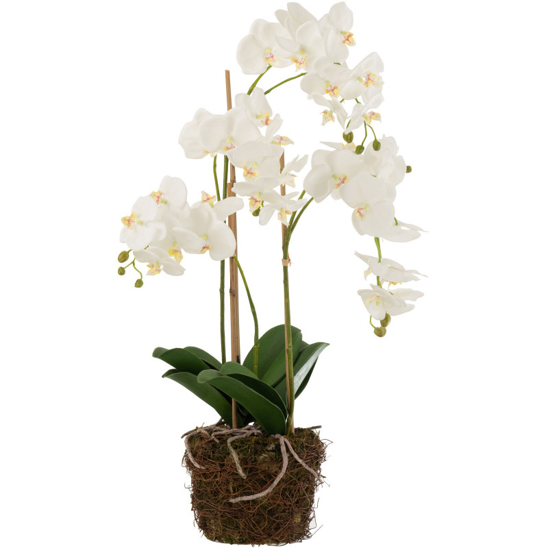 Fleur artificielle Orchidée XL Hauteur 75 cm en Plastique Blanc Vert Iveria - 1