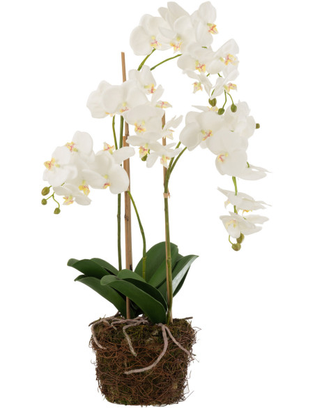 Fleur artificielle Orchidée XL Hauteur 75 cm en Plastique Blanc Vert Iveria - 1