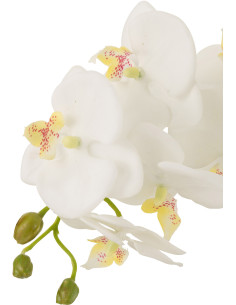 Fleur artificielle Orchidée XL Hauteur 75 cm en Plastique Blanc Vert Iveria - 1 2