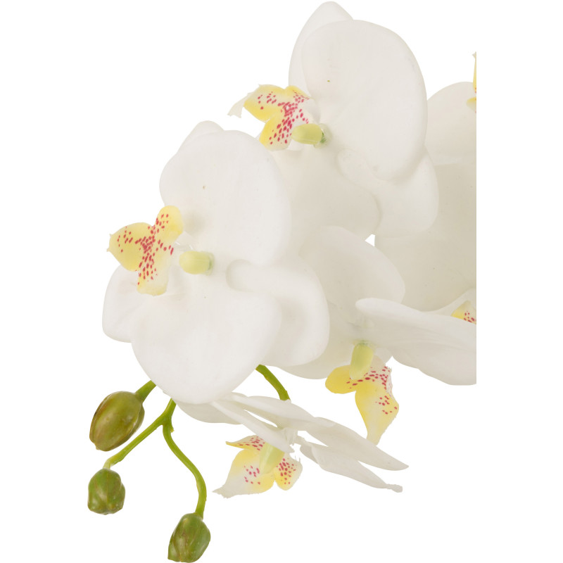 Fleur artificielle Orchidée XL Hauteur 75 cm en Plastique Blanc Vert Iveria - 2