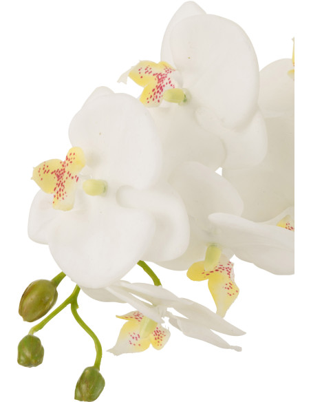 Fleur artificielle Orchidée XL Hauteur 75 cm en Plastique Blanc Vert Iveria - 2