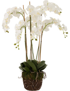 Fleur artificielle Orchidée XXL Hauteur 104 cm en Plastique Blanc Vert Iveria - 1