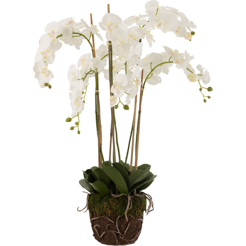 Fleur artificielle Orchidée XXL Hauteur 104 cm en Plastique Blanc Vert Iveria - 1
