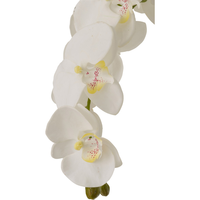 Fleur artificielle Orchidée XXL Hauteur 104 cm en Plastique Blanc Vert Iveria - 2