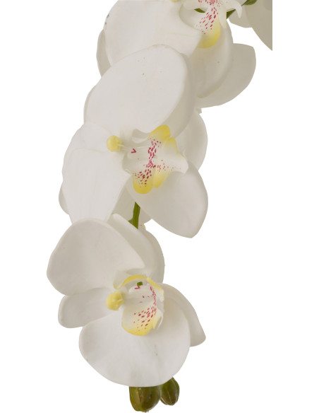 Fleur artificielle Orchidée XXL Hauteur 104 cm en Plastique Blanc Vert Iveria - 2