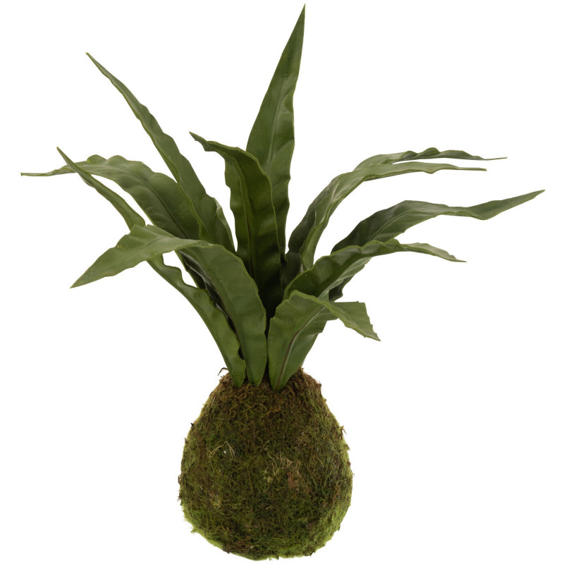 Plante artificielle Langue de belle-mère Hauteur 35 cm en Plastique Vert Halina - 1